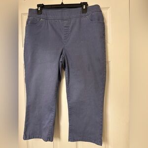 Kim Rogers Blue Cropped Pants. Size 12.